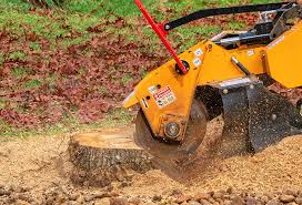 Leaf Removal Services in Romney, WV